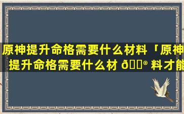 原神提升命格需要什么材料「原神提升命格需要什么材 💮 料才能做」